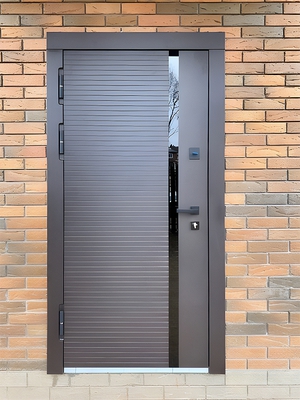 Однопольная дверь с глянцевой вставкой